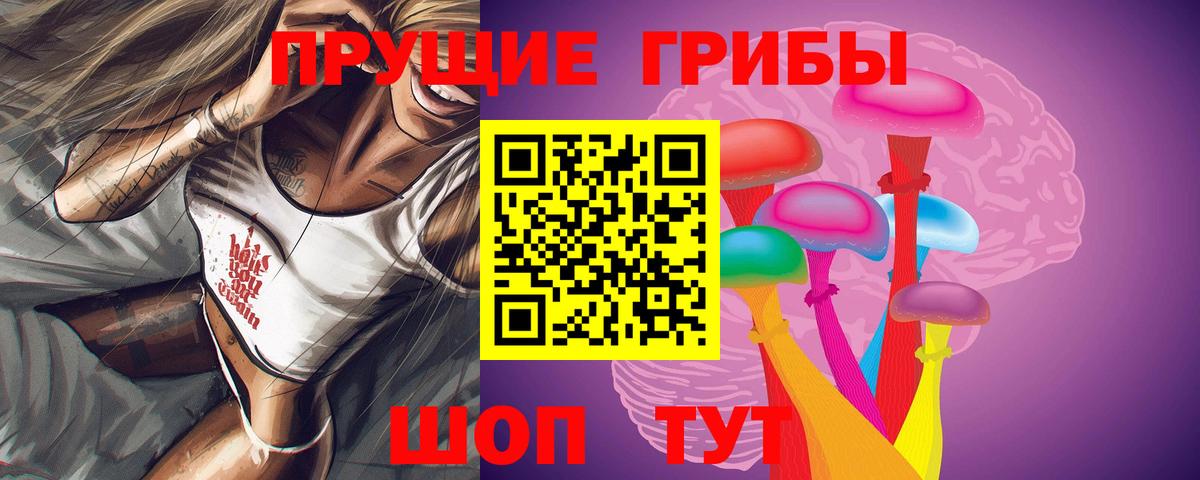Галлюциногенные грибы прущие грибы  Псилоцибиновые грибы GOLDEN TEACHER  Нижний Новгород  Вход с VPN 