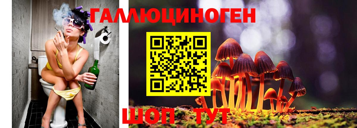 Псилоцибиновые грибы Magic Shrooms Нижний Новгород